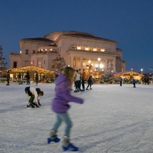 The Ice at Carter Green