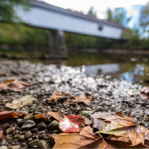 Potters Bridge Fall Festival