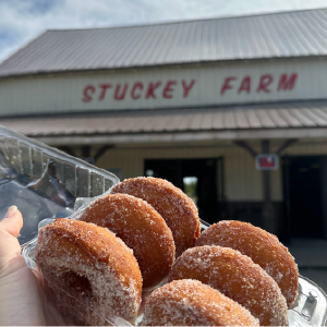 Harvest Festival at Stuckey Farm