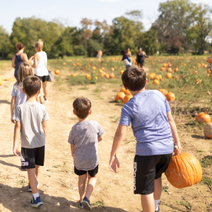 Russell Farms Country Fall Festival